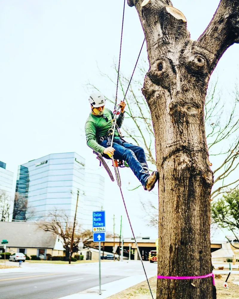 Local outdoor landscaping in Richardson, TX - DaltexPro Landscape