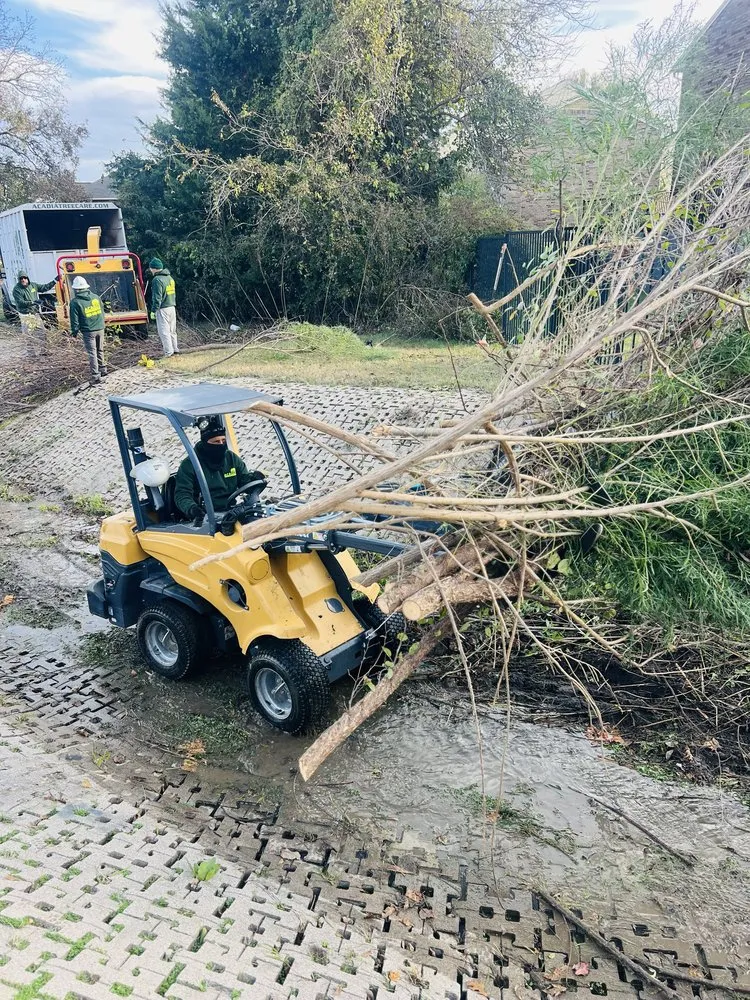Trusted landscape installation in Richardson, TX - DaltexPro Landscape