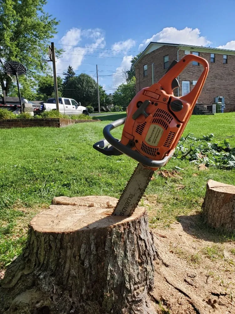 Expert landscape installation in Washburn, TN - Dalton Landscapes