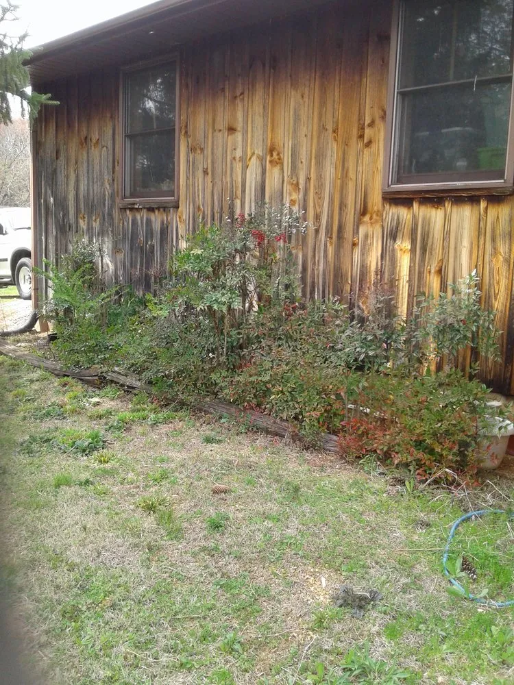 Trusted lawn mowing service near you in Washburn, TN by Dalton Landscapes