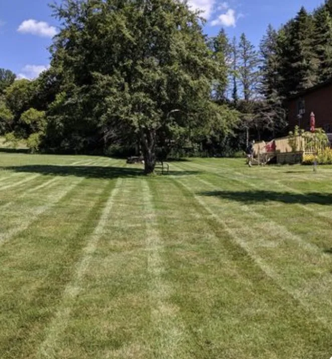 Professional yard maintenance in Pittsfield, MA - Dalton Lawn Care