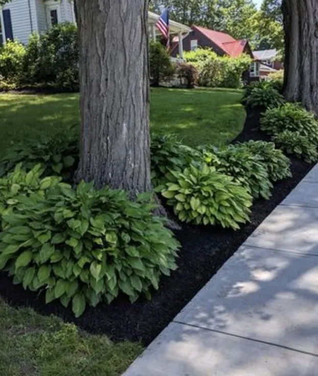 Custom lawn care service experts serving Pittsfield, MA - Dalton Lawn Care