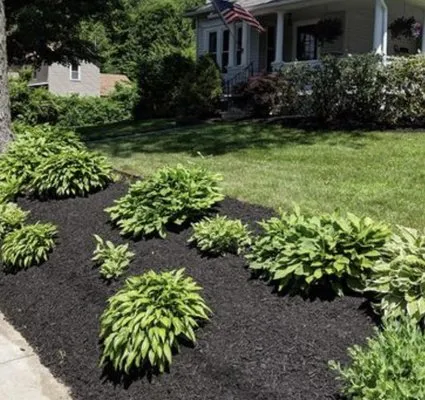 Dalton Lawn Care Logo