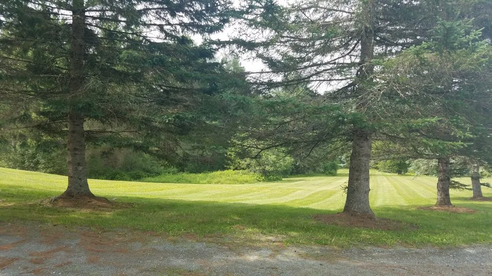 Reliable yard cleanup service for residential properties across Dalton, NH - Dalton Mountain Landscaping