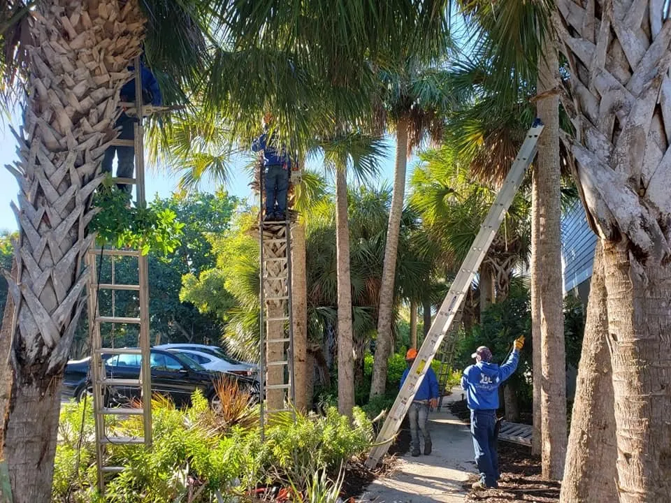 Local lawn care service experts serving Englewood, FL - Dalton's Landscape Service