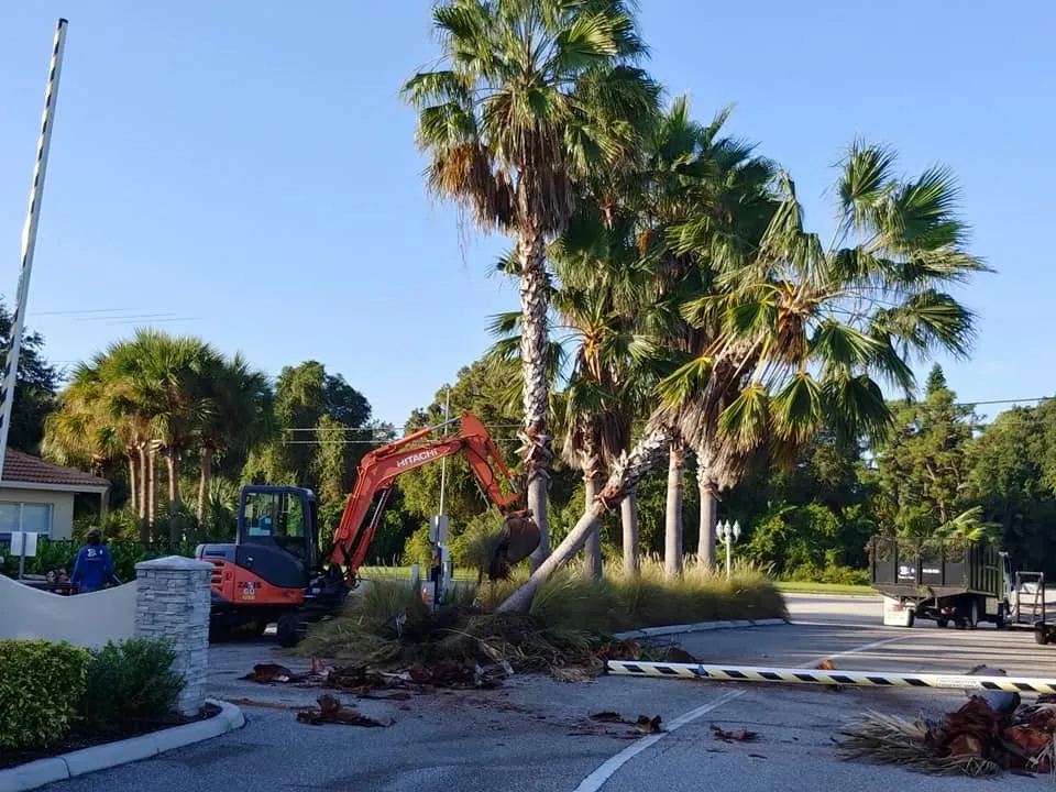 Affordable yard maintenance experts serving Englewood, FL - Dalton's Landscape Service