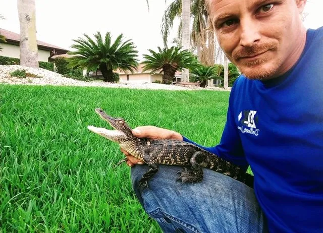 Trusted yard cleanup service in Englewood, FL - Dalton's Landscape Service