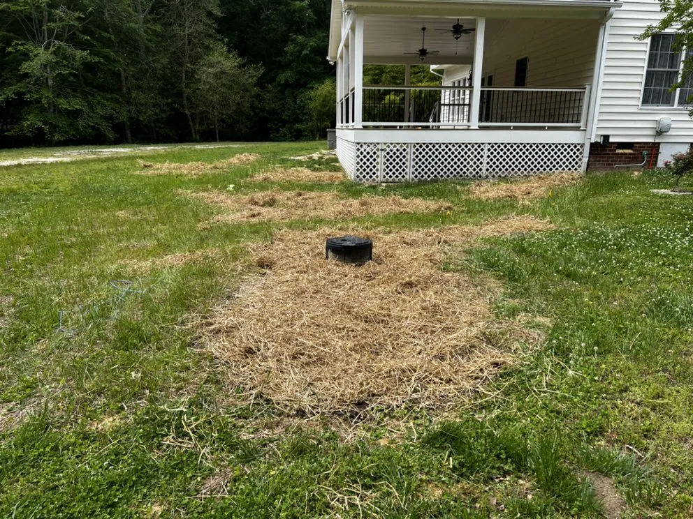 Local yard cleanup service experts serving Aylett, VA - Dalton's Landscaping