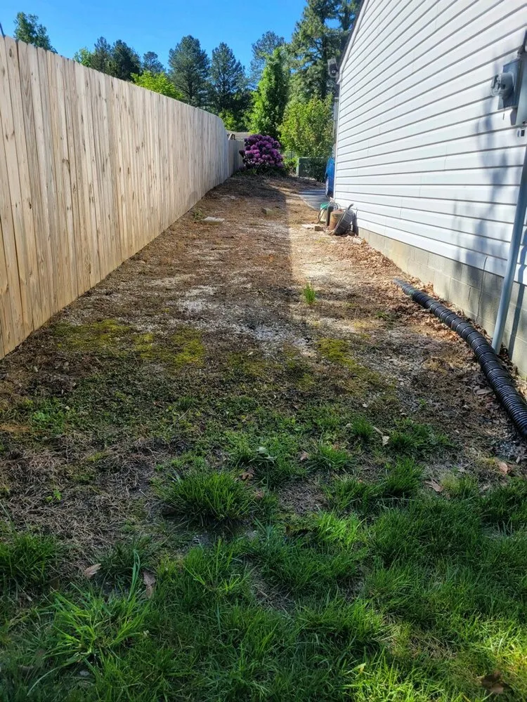 Affordable lawn care service experts serving Aylett, VA - Dalton's Landscaping