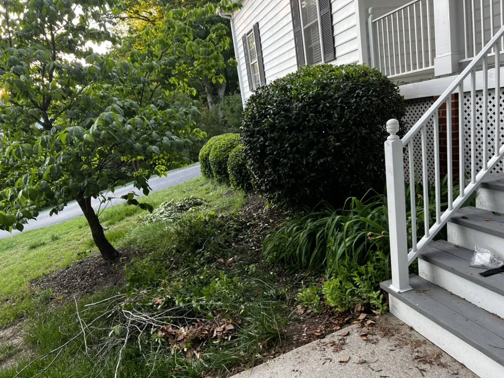 Reliable lawn mowing service with custom design in Aylett, VA by Dalton's Landscaping