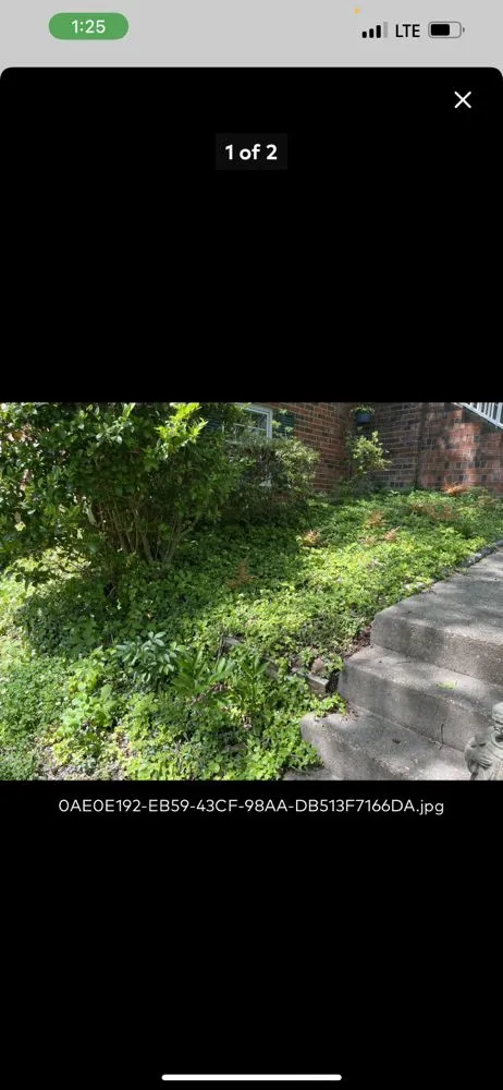 Local yard cleanup service for homes in Aylett, VA by Dalton's Landscaping