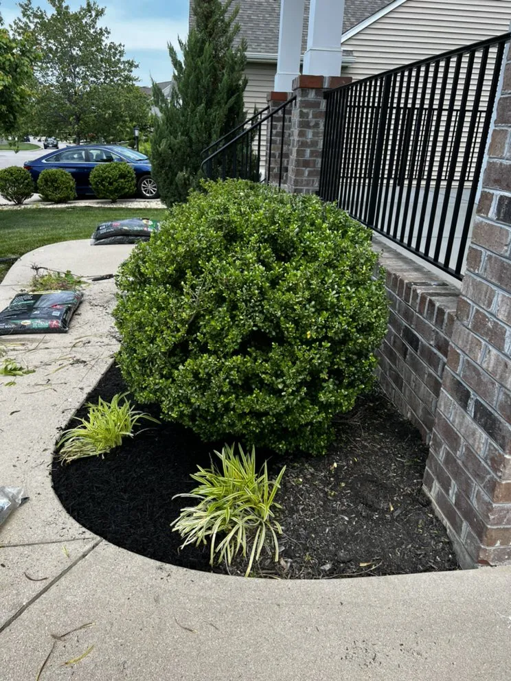 Reliable yard maintenance for residential properties across Aylett, VA - Dalton's Landscaping