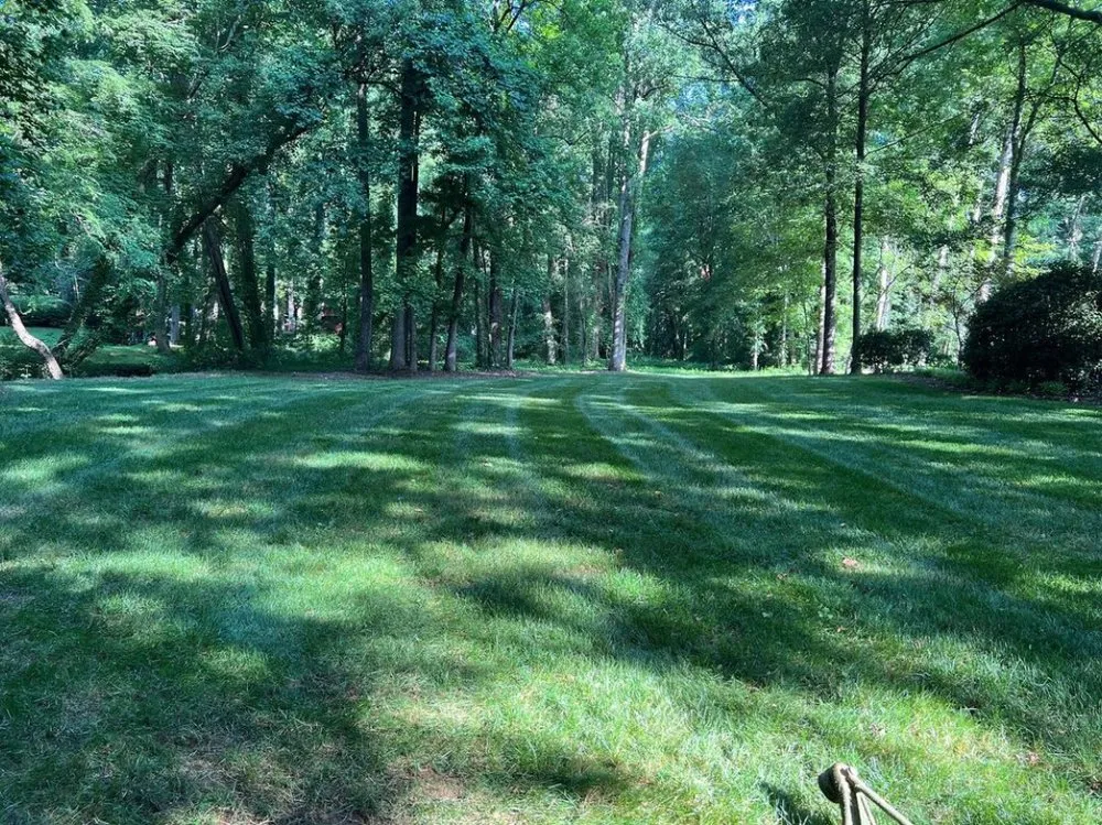 Professional yard cleanup service with custom design across Pickens, SC - Daltons Lawn Care