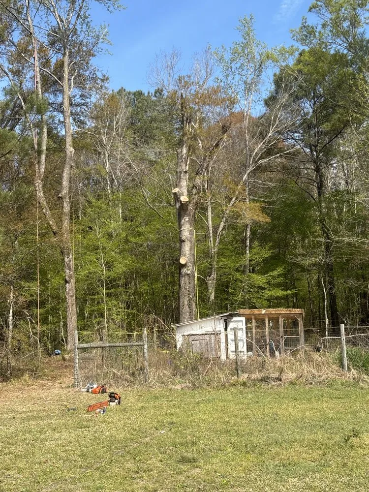 Expert residential landscaping in Saint Stephen, SC - Daltons Low Country Landscape