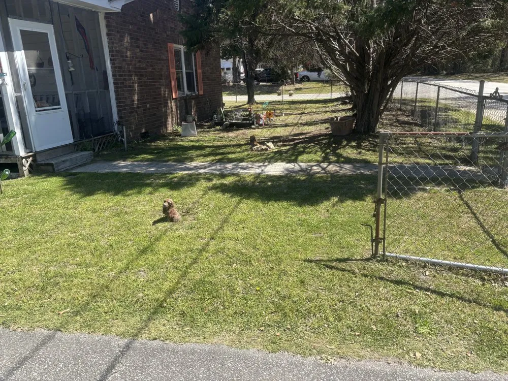 Local lawn care service for year-round maintenance across Saint Stephen, SC - Daltons Low Country Landscape