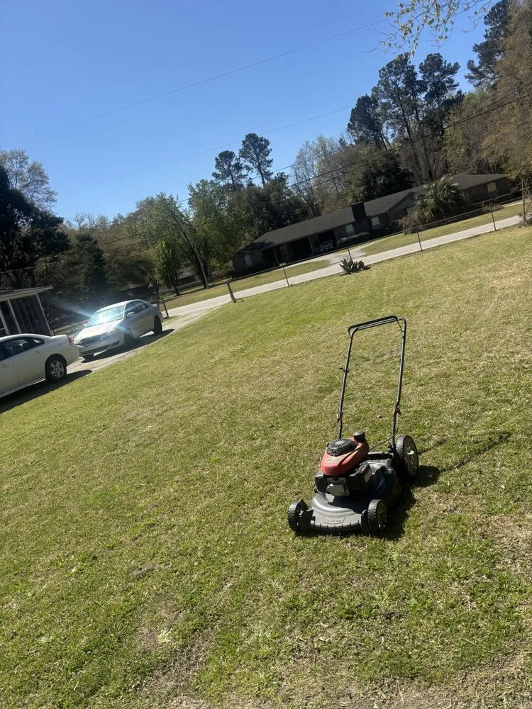 Affordable residential landscaping in Saint Stephen, SC by Daltons Low Country Landscape