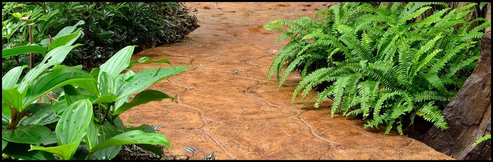 Expert landscape installation in Foley, AL by Dalton's Sprinkler Drainage & Lighting