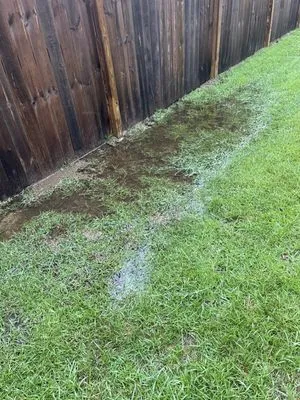 Dalton's Sprinkler Drainage & Lighting Logo