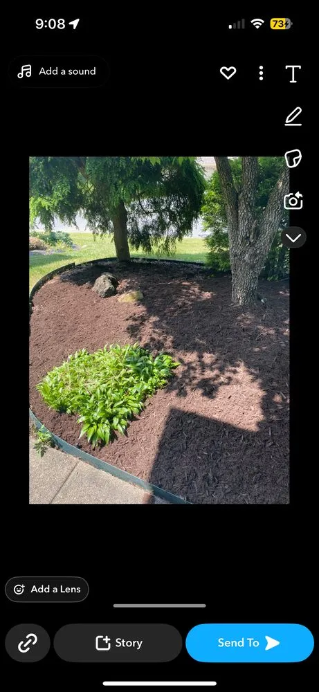 Expert yard cleanup service near you in Pleasant Hills, PA by Dalt’s Lawncare & Landscaping