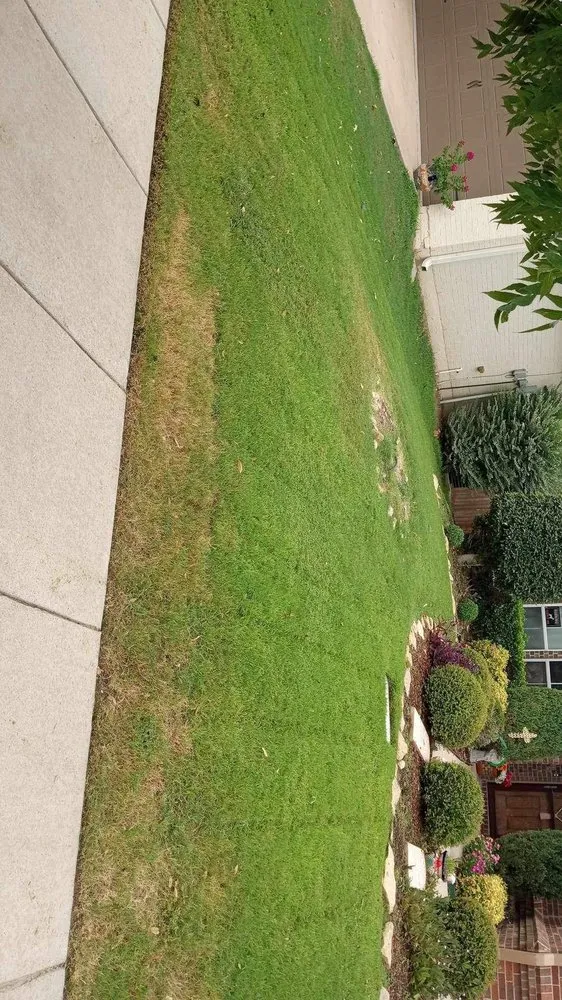 Custom yard maintenance for beautiful yards in Arlington, TX by Dalworth Cutz