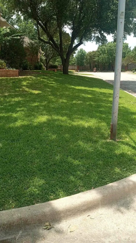 Custom yard maintenance near you across Arlington, TX - Dalworth Cutz