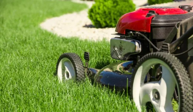 Reliable yard maintenance experts serving Arlington, TX - Dalworth Cutz