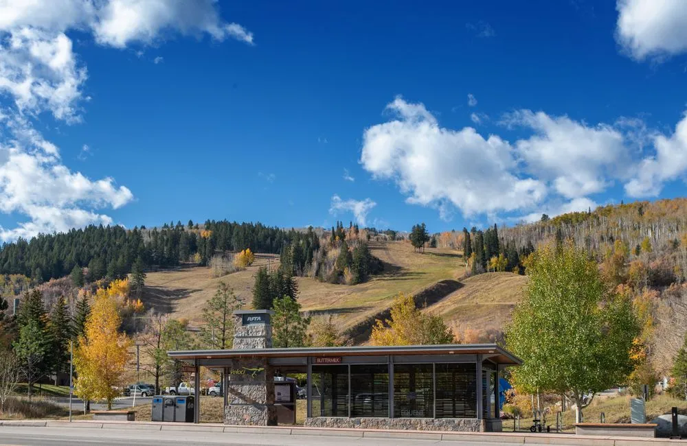 Expert outdoor landscaping experts serving Basalt, CO - Daly Property Services