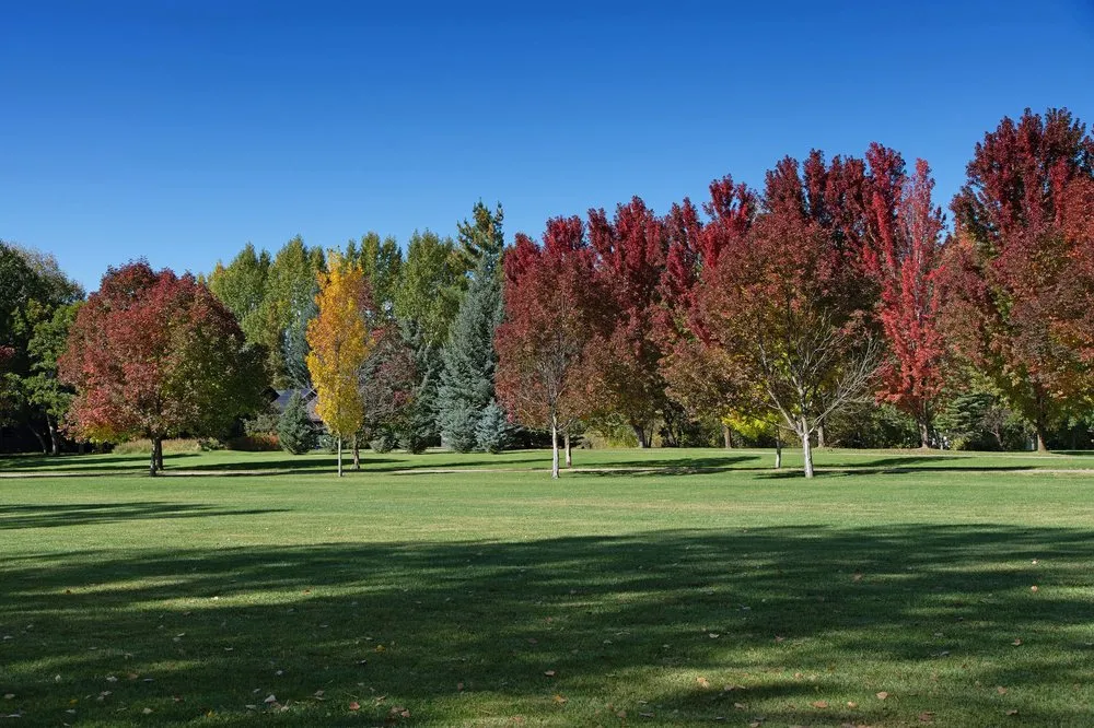 Professional garden landscaping in Basalt, CO - Daly Property Services