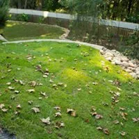 Top-rated landscape installation for year-round maintenance across North Augusta, SC - Dalzell Design Landscaping