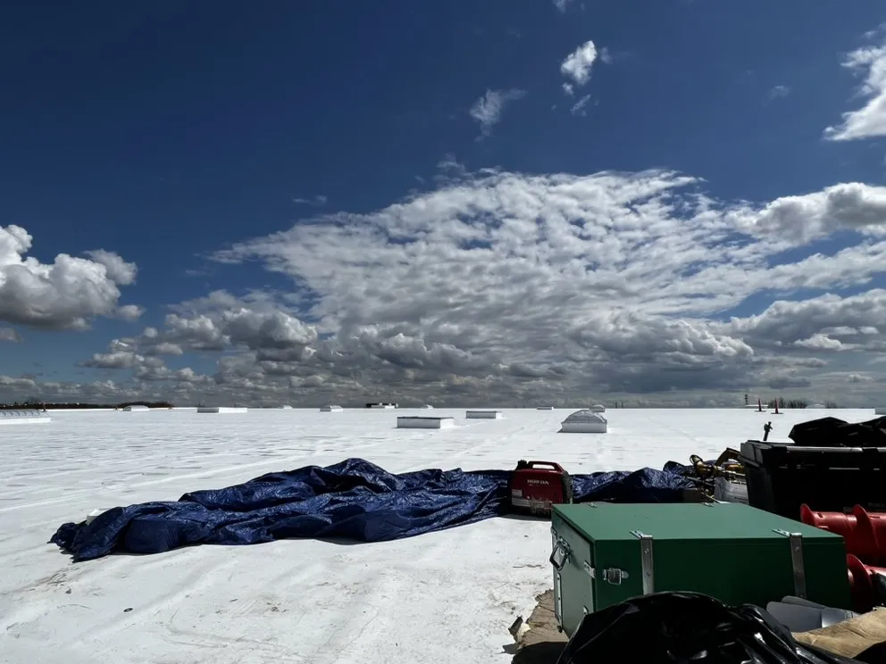 Local landscaping services near you in Eastpointe, MI by Dam Services