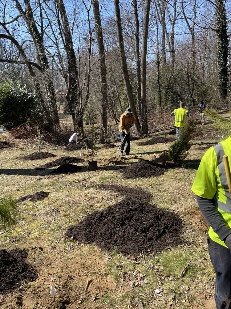 Affordable lawn mowing service for beautiful yards across Hyattsville, MD - DAM Services