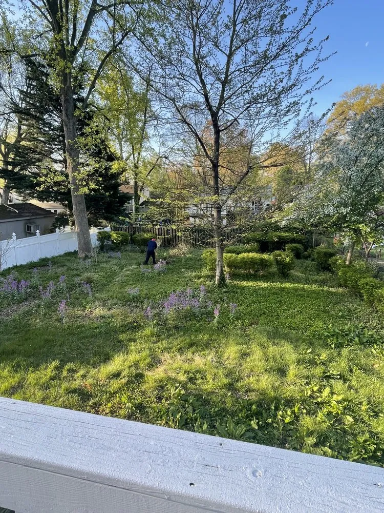 Trusted landscape design for outdoor upgrades across Hyattsville, MD - DAM Services