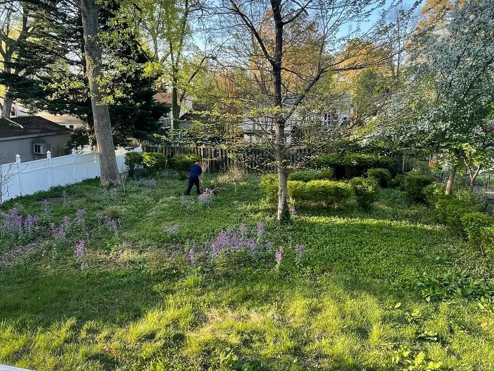 Top-rated garden landscaping experts serving Hyattsville, MD - DAM Services