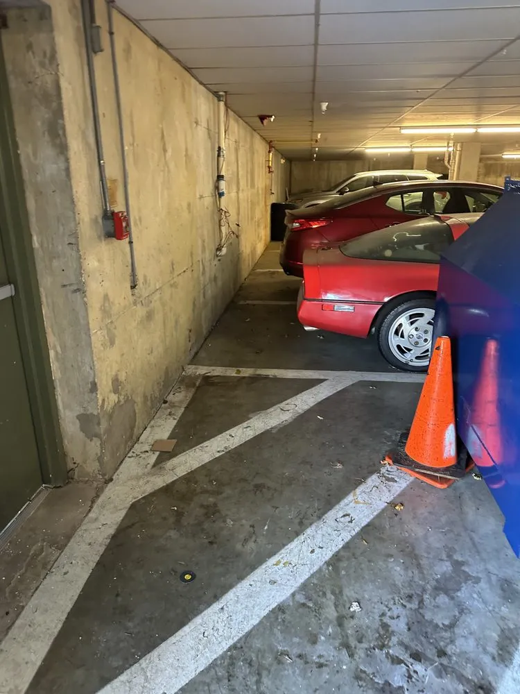 Custom garden landscaping for outdoor upgrades across Hyattsville, MD - DAM Services