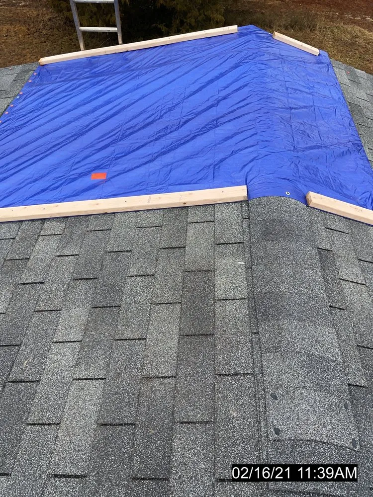 Affordable yard cleanup service experts serving Hyattsville, MD - DAM Services