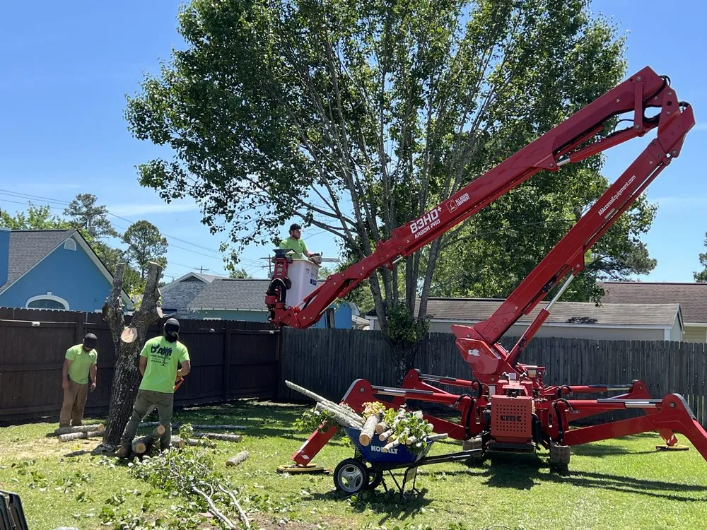 Professional residential landscaping in North Myrtle Beach, SC by DAM Tree Services of Myrtle Beach