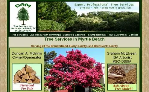 Expert yard cleanup service in North Myrtle Beach, SC - DAM Tree Services of Myrtle Beach
