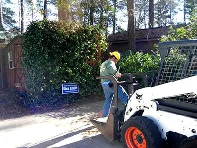 Trusted landscape installation in North Myrtle Beach, SC - DAM Tree Services of Myrtle Beach