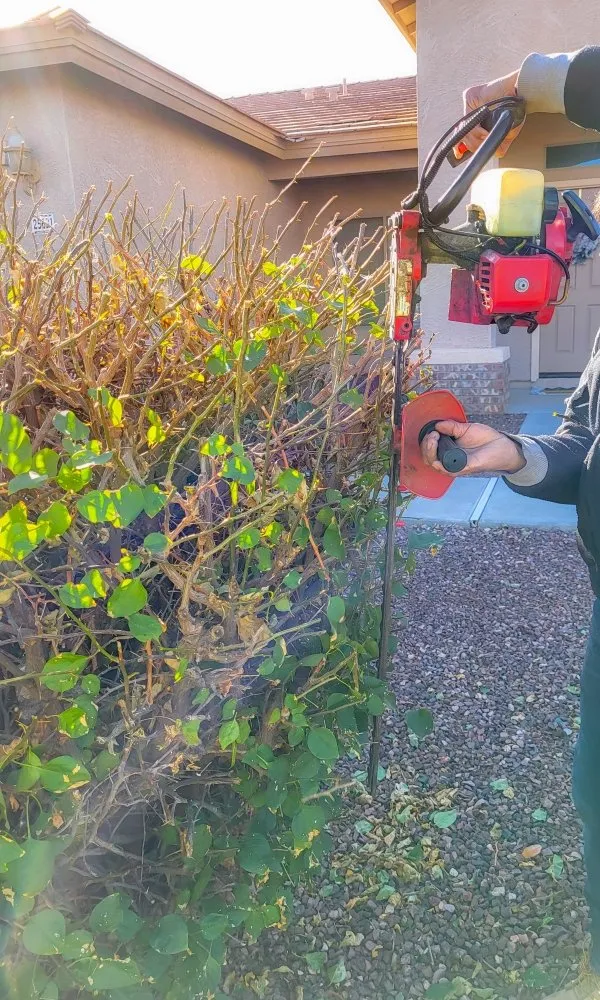 Top-rated yard maintenance experts serving Phoenix, AZ - Damacio Lanscaping