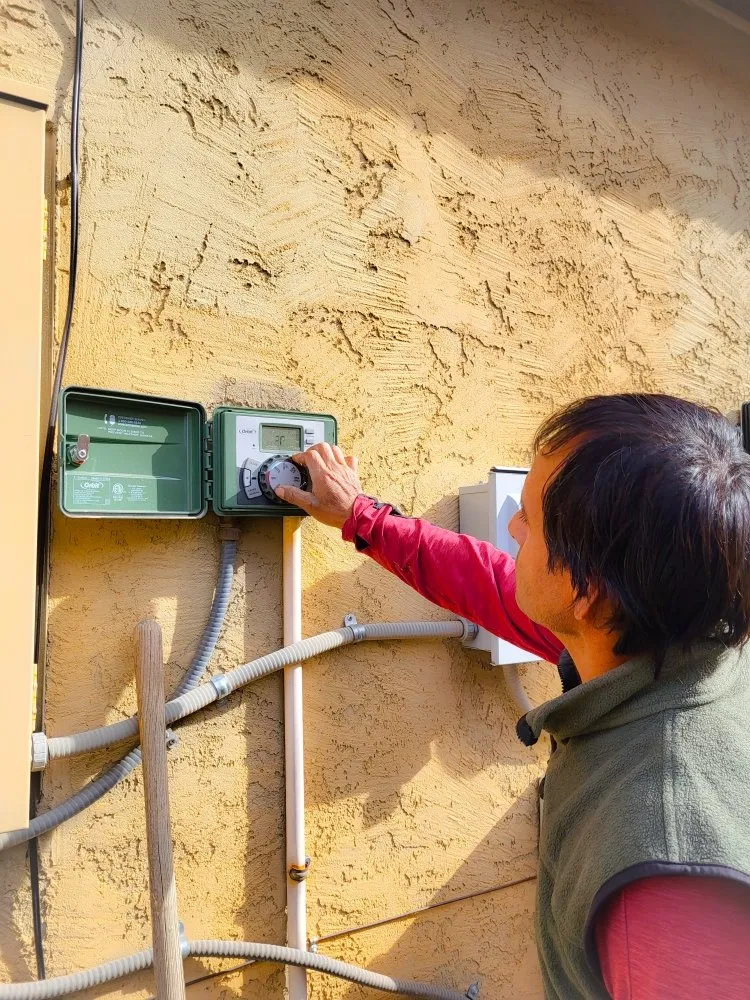 Affordable garden landscaping experts serving Phoenix, AZ - Damacio Lanscaping