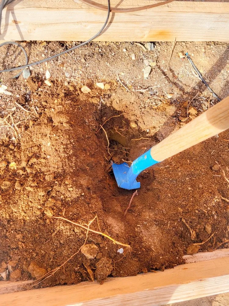 Affordable landscape installation in Phoenix, AZ - Damacio Lanscaping