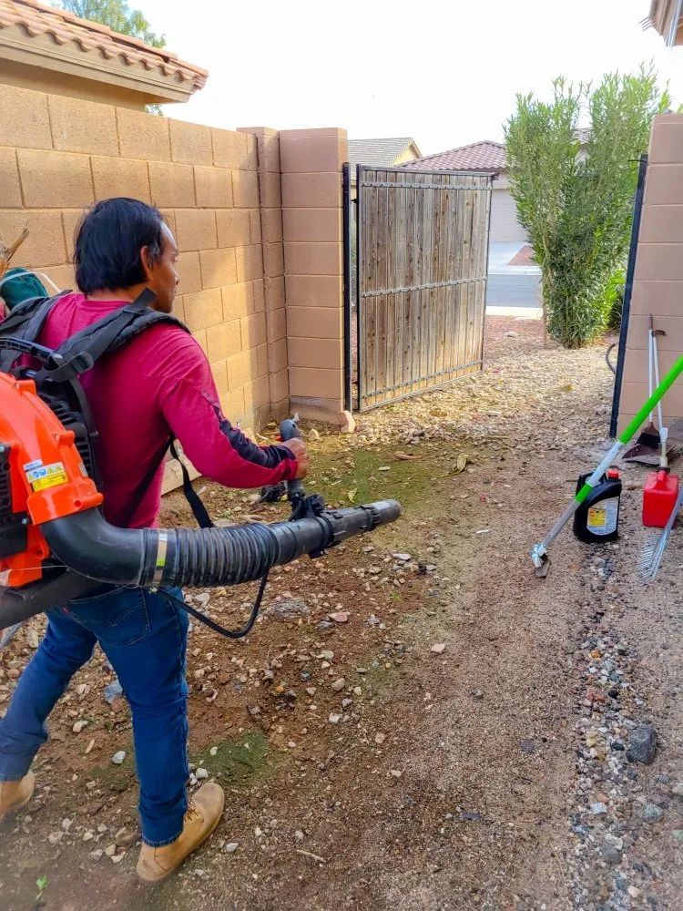 Local residential landscaping in Phoenix, AZ - Damacio Lanscaping
