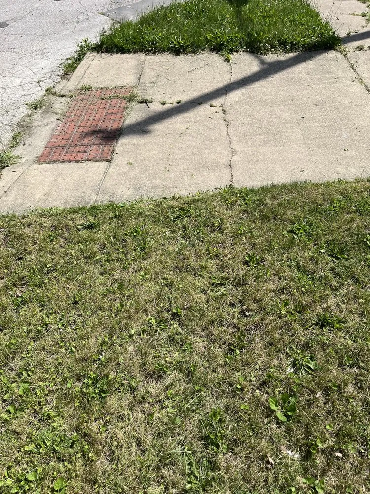 Local residential landscaping in Toledo, OH by Damare’s Yard To Home Services