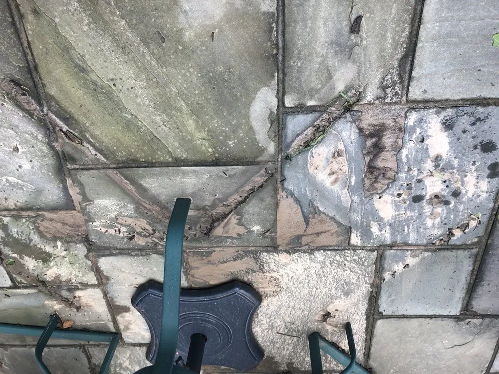 Local landscape installation for year-round maintenance in Damascus, MD by Damascus Enterprises