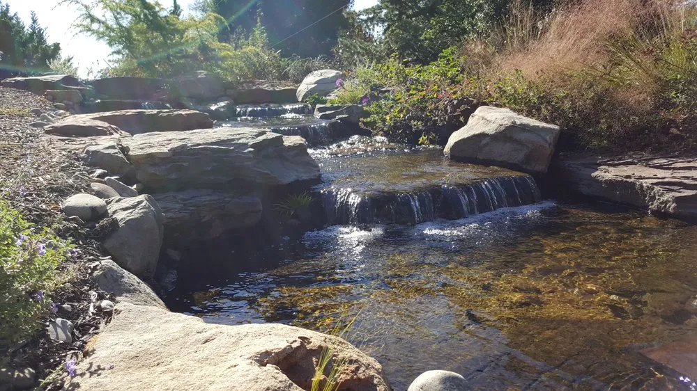 Top-rated landscape design in Damascus, MD by Damascus Enterprises