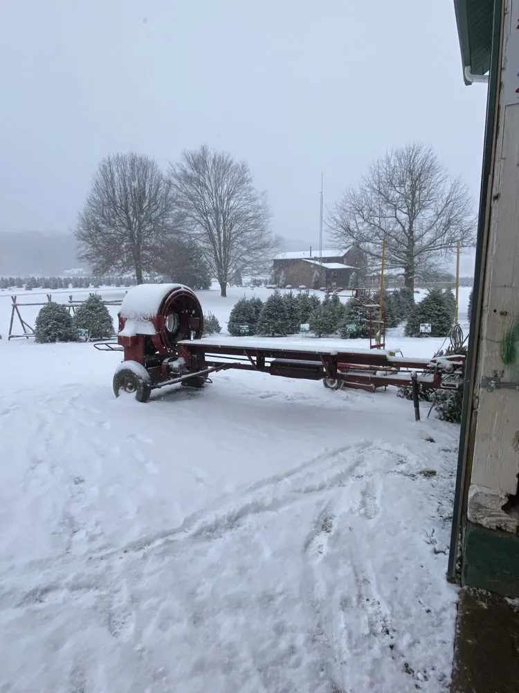 Trusted lawn mowing service with custom design in Fombell, PA by Dambach's Lake Forest Gardens