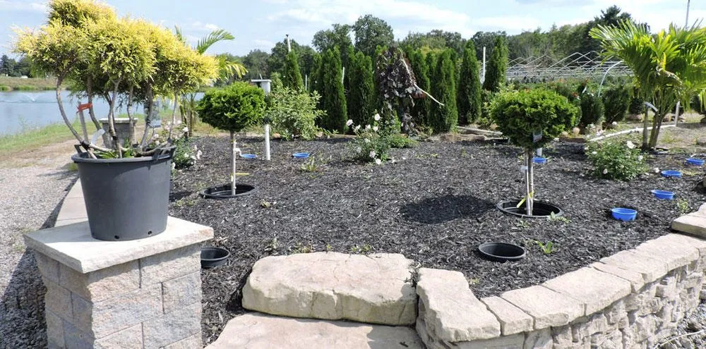 Top-rated yard cleanup service near you in Fombell, PA by Dambach's Lake Forest Gardens