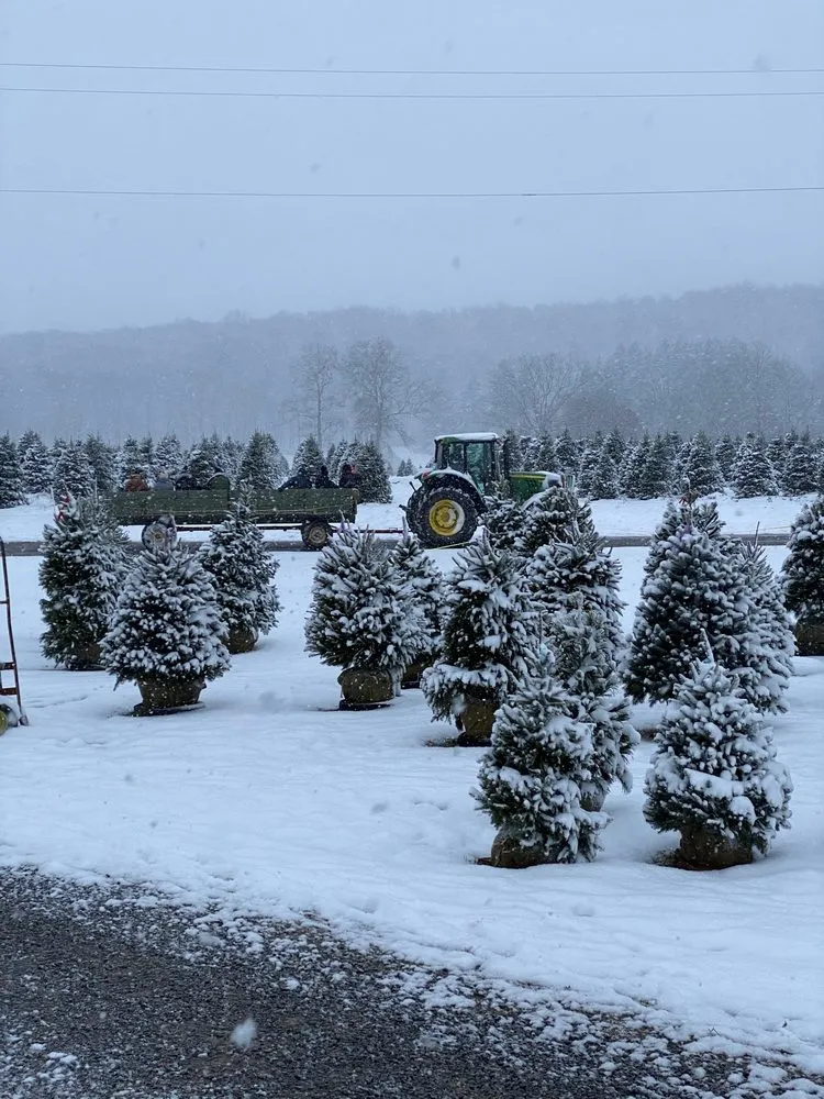 Expert landscape installation experts serving Fombell, PA - Dambach's Lake Forest Gardens