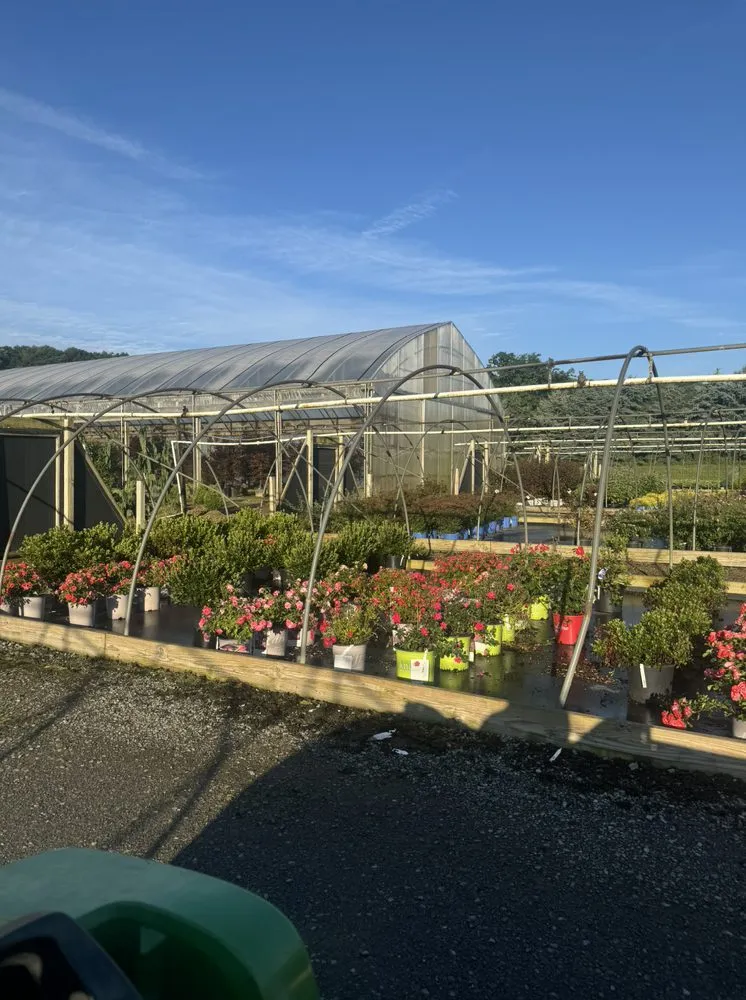 Local yard cleanup service in Fombell, PA by Dambach's Lake Forest Gardens