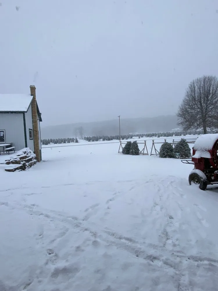 Local lawn care service experts serving Fombell, PA - Dambach's Lake Forest Gardens